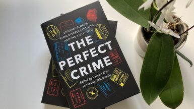 The Perfect Crime is out now!